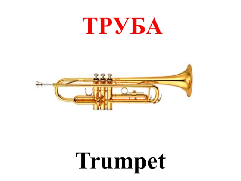 Текст труба трубит. Труба Stagg WS-tr215s. Корнет Levante lv-cr5205. Yamaha YCR-2310sii. Flute Harp Trumpet.