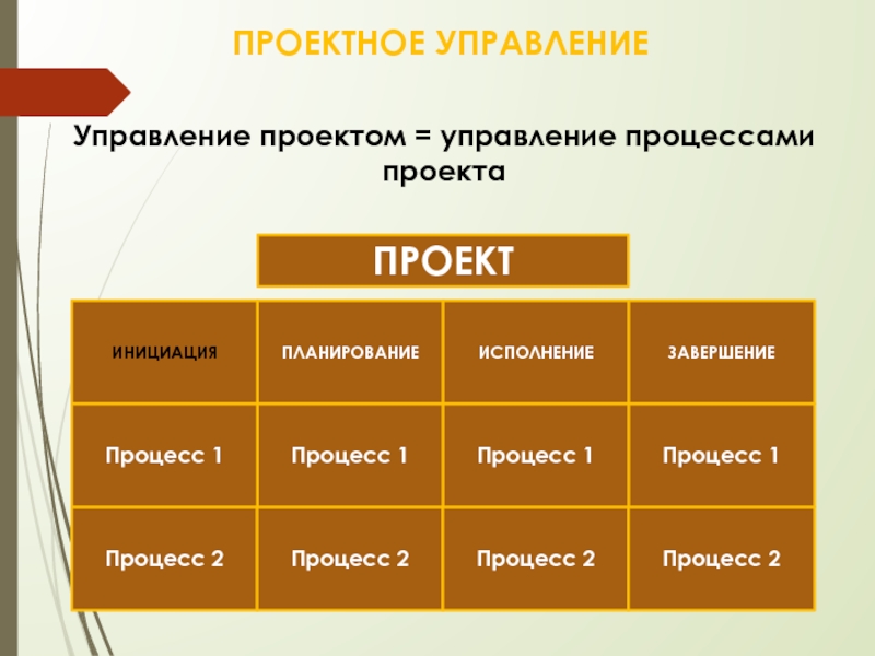 Бэгьюли ф управление проектом