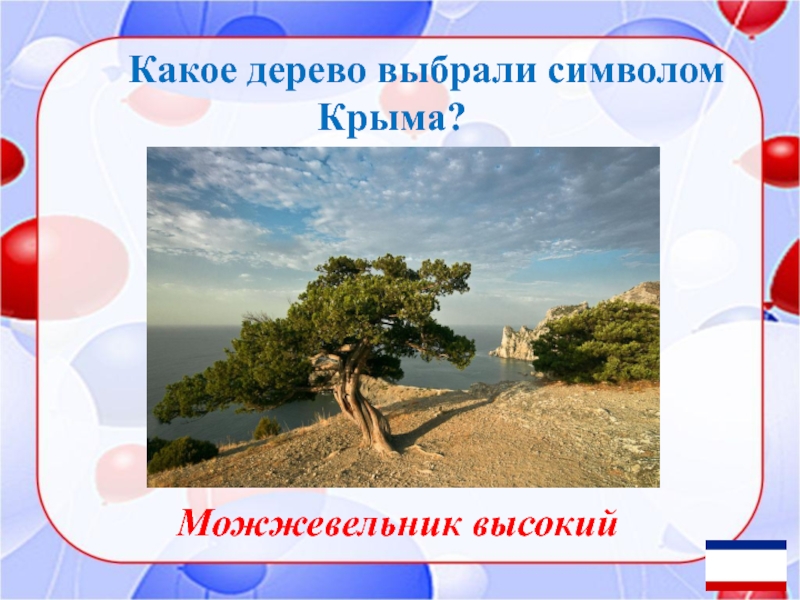 Дерево выборов. Символ Крыма неформальный. Викторина Крымская символика. Что является символом Крыма?.