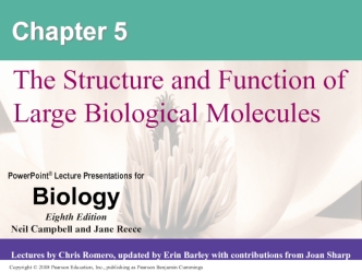 The Structure and Function of Large Biological Molecules