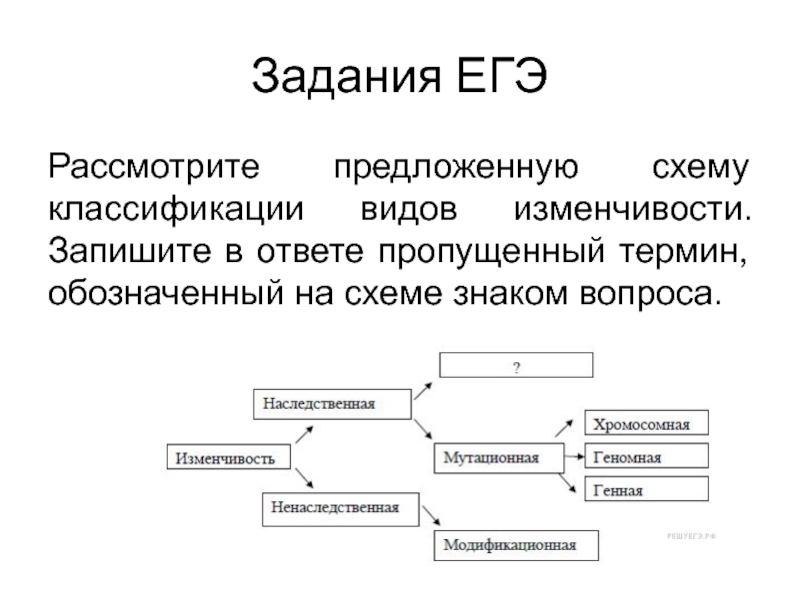 Рассмотрите предложенную схему классификации видов изменчивости запишите в ответе пропущенный термин