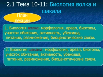 Биология волка и шакала