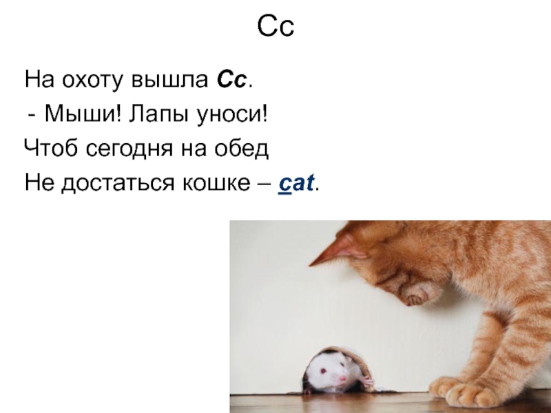 Чтоб сегодня. На охоту вышла с мыши лапы уноси. Лапы уноси. На охоту вышла c мыши лапки уноси. Намочила мышка лапки стих.