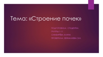 Строение почек