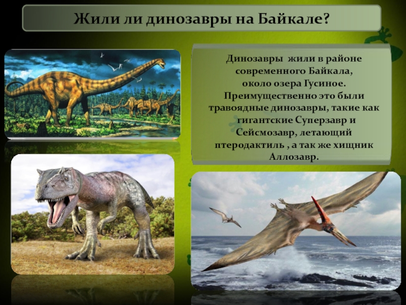 На какой территории жили динозавры. Какие динозавры жили. Жили ли динозавры. Динозавры на Байкале. Динозавры которые обитали в России.