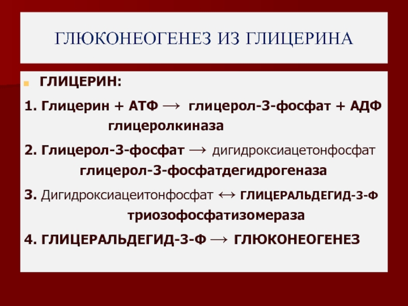 Общая схема глюконеогенеза из аминокислот глицерина и молочной кислоты