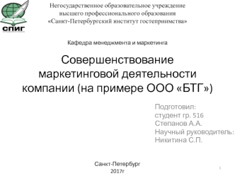 Совершенствование маркетинговой деятельности компании ООО БТГ