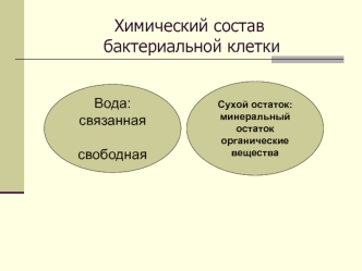 Химический состав бактериальной клетки