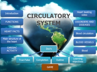 Circulatory system