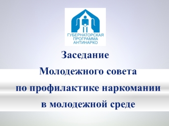 Заседание Молодежного совета по профилактике наркомании в молодежной среде