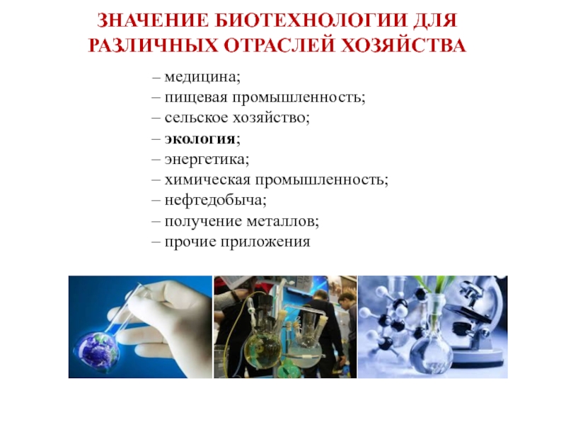 Презентация на тему биотехнология по химии 10 класс