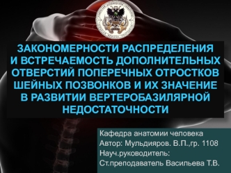 Закономерности морфометрических параметров отверстий поперечных отростков шейных позвонков у мужчин и женщин