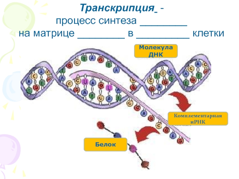 Рассмотрите рисунок с изображением одного из процессов матричного синтеза