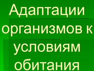 Адаптация организмов к условиям обитания