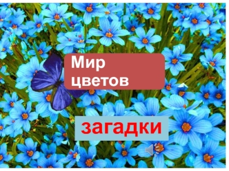 Мир цветов. Загадки