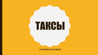 Порода собак такса