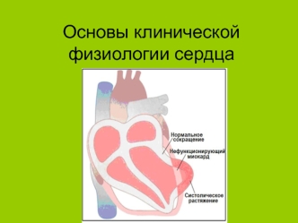 Основы клинической физиологии сердца