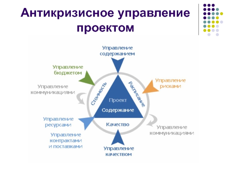 Субъекты процесса управления проектом