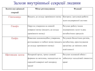 Залози внутрішньої секреції людини