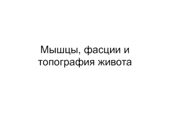 Мышцы, фасции и топография живота