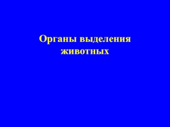 Органы выделения животных