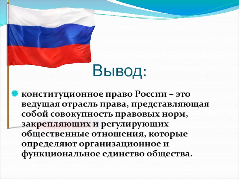 Презентация по конституционному праву