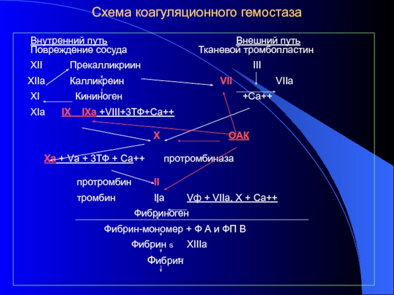 Внешний путь. Внешний путь коагуляционного гемостаза. Схема ферментативно-коагуляционного гемостаза. Внутренний путь коагуляционного гемостаза. 1 Фаза коагуляционного гемостаза.