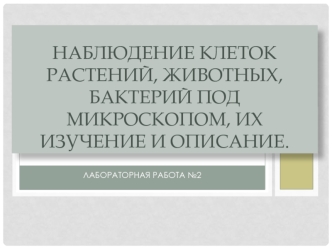 Наблюдение клеток растений, животных, бактерий под микроскопом, их изучение и описание