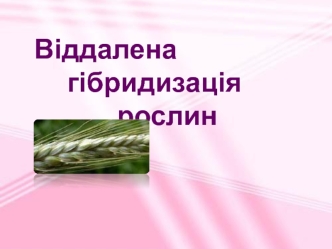 Віддалена гібридизація рослин