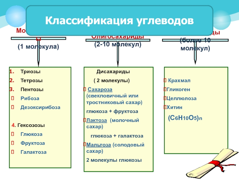 Примеры углеводов