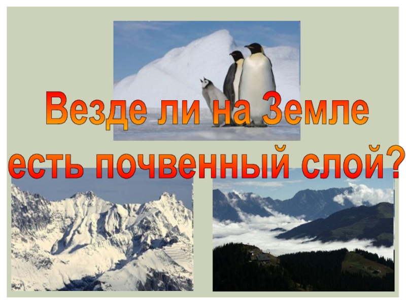 Везде ли. Везде ли на земле есть почва. Почвенный слой земли есть везде. Везде ли почвы одинаковые?. Почвенный слой на земле есть везде да или нет ответ.