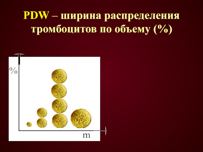 PDW – ширина распределения тромбоцитов по объему (%)m%