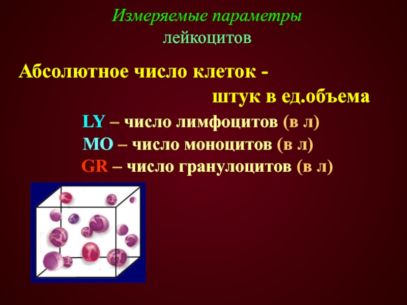 LY – число лимфоцитов (в л) МО – число моноцитов (в