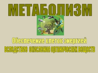 Метаболизм. Обеспечение клеток энергией вследствие окисления органических веществ