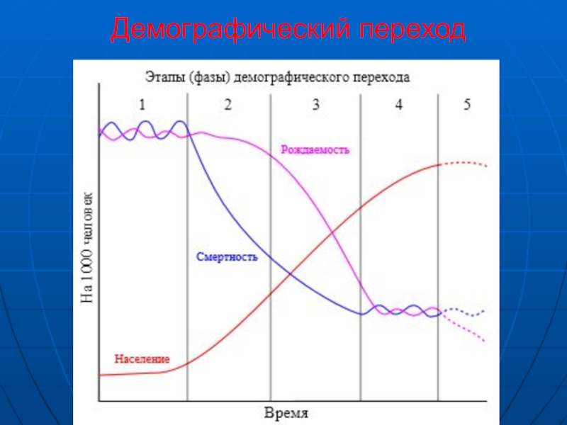 Демографический этап. Демографический переход. Стадии демографического перехода. Схема демографического перехода. Охарактеризуйте фазы демографического перехода.