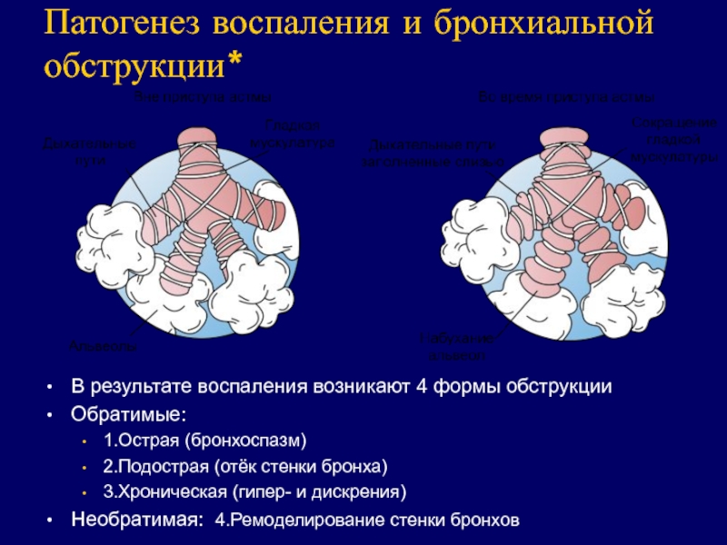 Бронхиальная астма патофизиология презентация