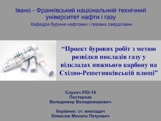 Проект бурових робіт з метою розвідки покладів газу у відкладах нижнього карбону на Східно-Решетняківській площі