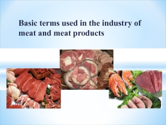 Basic terms used in the industry of meat and meat products