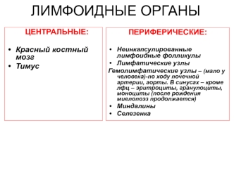 Лимфоидные органы. Центральные и периферические