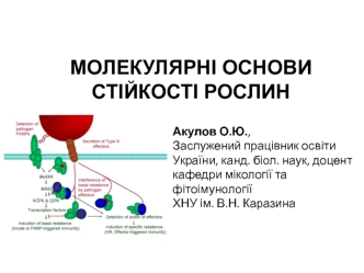 Молекулярні основи стійкості рослин