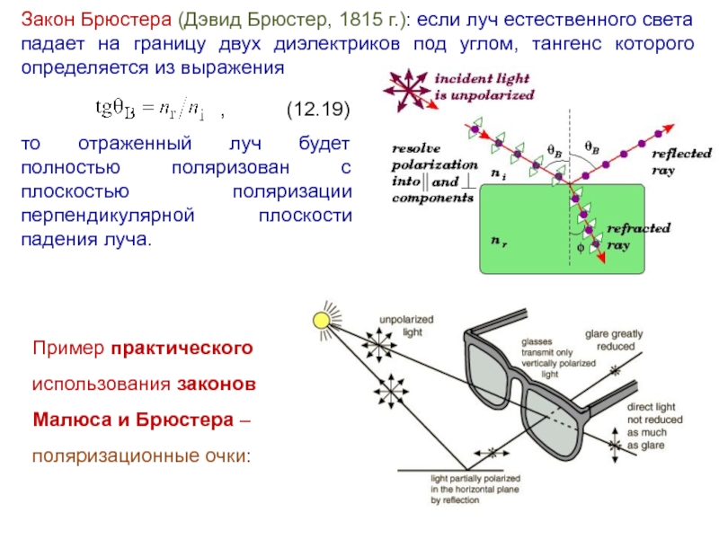 Закон брюстера имеет вид укажите на рисунке поляризацию лучей