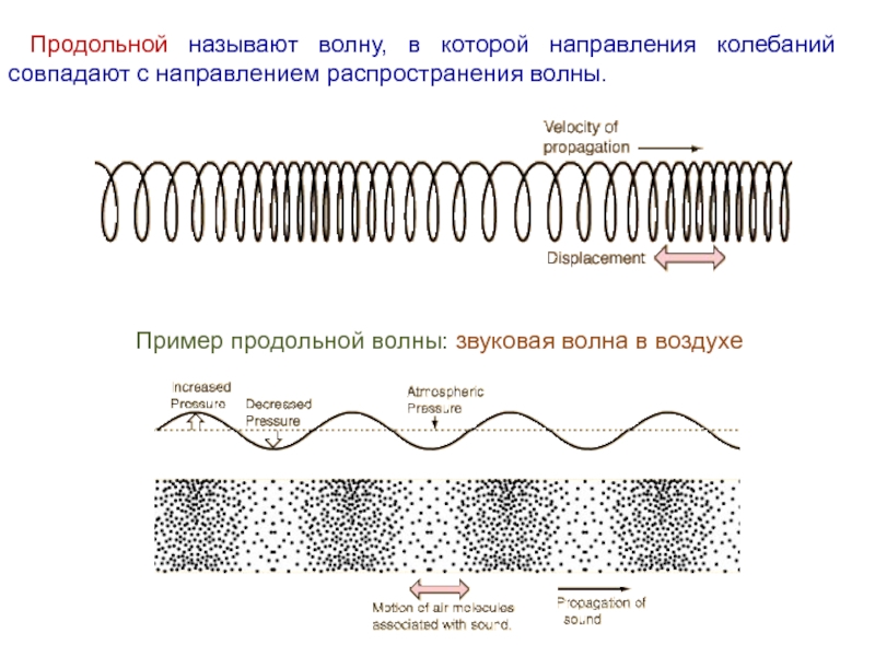 Пример продольной волны звуковая волна