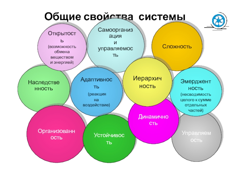 Система свойств человека. Концепция несводимости целого к сумме его частей. Основные свойства подарка.