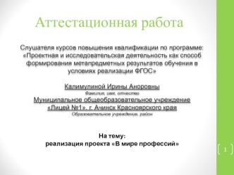 Аттестационная работа. Реализация проекта в мире профессий