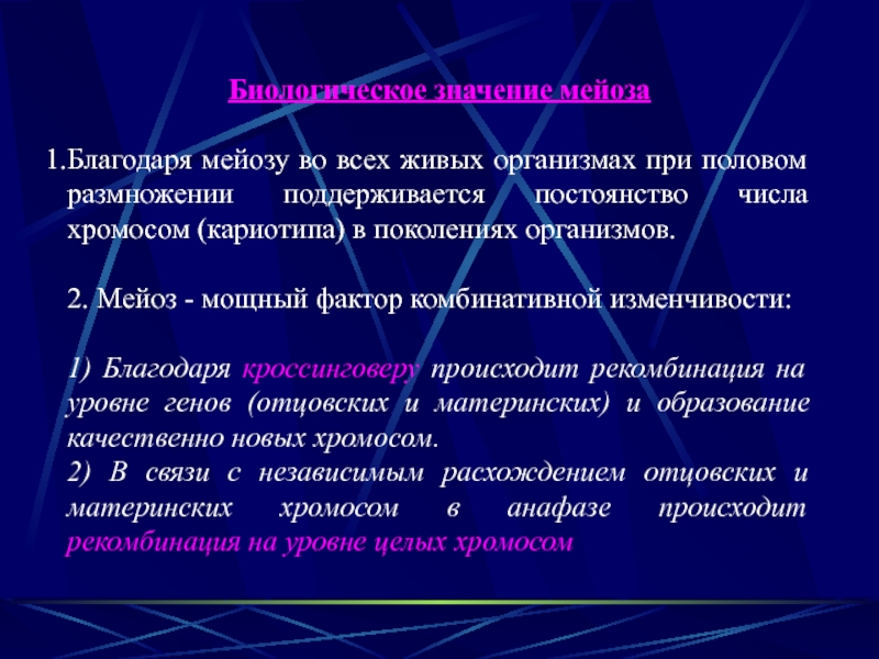 Биологическое значение мейоза заключается в. Биологическое значение мейоза. Биологическая роль мейоза. Поддерживает постоянство числа хромосом в поколениях. Заключается сущность мейоза.