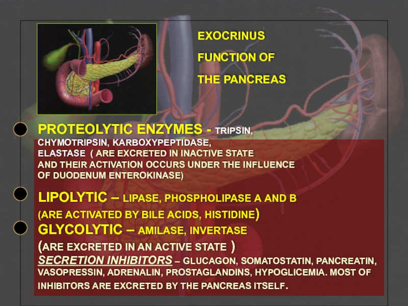 EXOCRINUS  FUNCTION OF  THE PANCREAS     PROTEOLYTIC