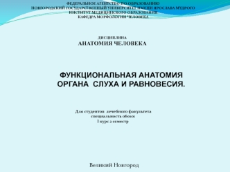 Функциональная анатомия органа слуха и равновесия