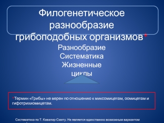 Филогенетическое разнообразие грибоподобных организмов. Разнообразие. Систематика. Жизненные циклы