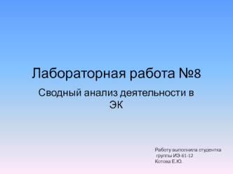 Сводный анализ деятельности в ЭК