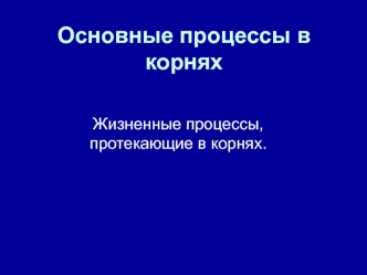 Жизненные процессы, протекающие в корнях растений